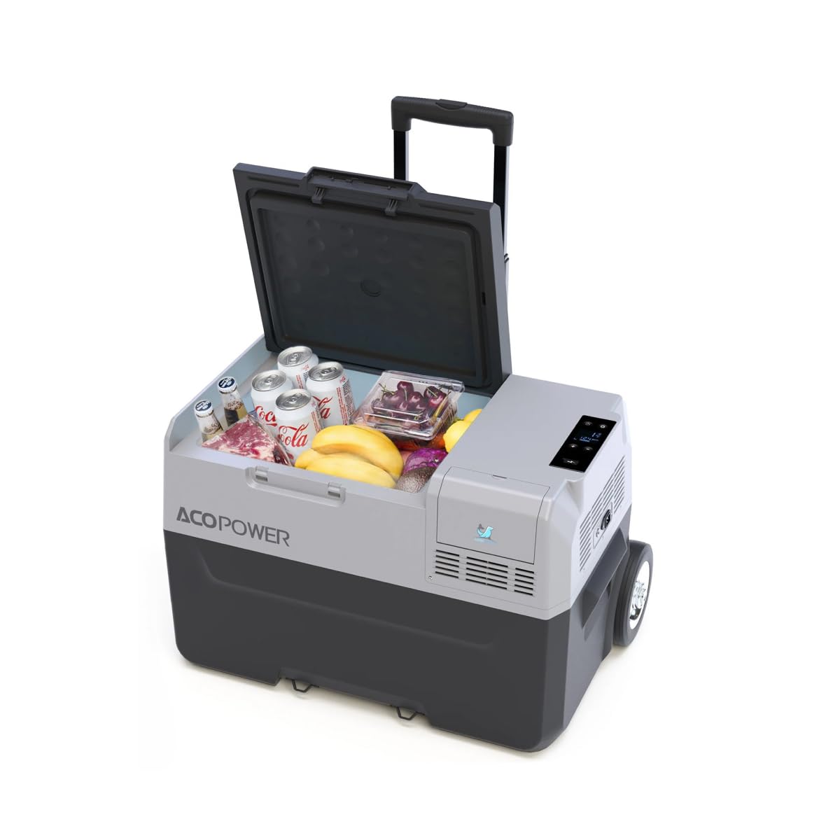 Amazon.com: ACOPOWER LiONCooler Protable Car Refridgerator, 32Qt